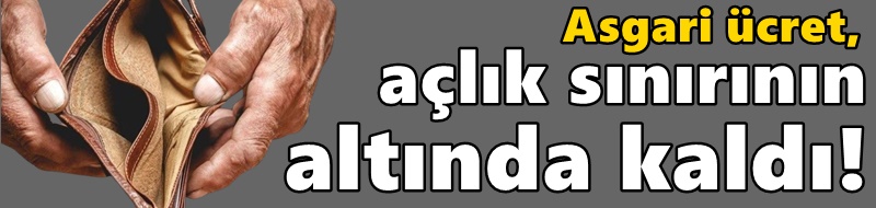 Asgari ücret, açlık sınırının altında kaldı!