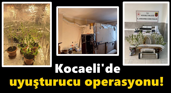 Kocaeli'de uyuşturucu operasyonu!