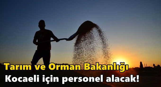 Tarım ve Orman Bakanlığı Kocaeli için personel alacak!