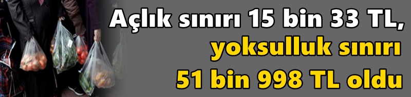 Açlık sınırı 15 bin 33 TL, yoksulluk sınırı 51 bin 998 TL oldu