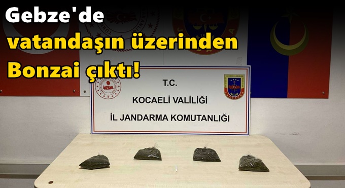 Gebze'de vatandaşın üzerinden Bonzai çıktı!