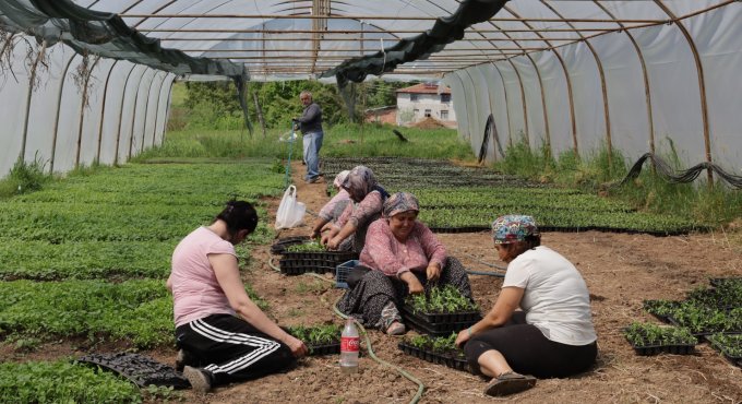 Büyükşehir’den % 75 hibeli tarım desteği
