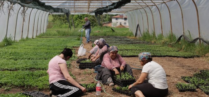 Büyükşehir’den % 75 hibeli tarım desteği