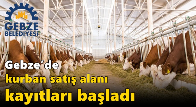 Gebze’de kurban satış alanı kayıtları başladı