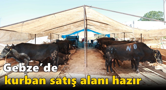 Gebze’de Kurban Satış Alanı Hazır