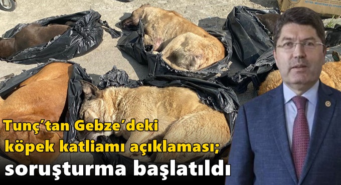 Tunç’tan Gebze’deki köpek katliamı açıklaması; “Soruşturma başlatıldı”