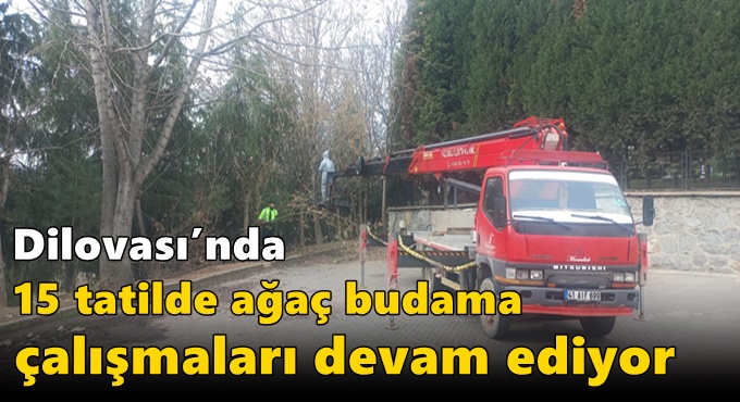 Dilovası’nda 15 Tatilde Ağaç Budama Çalışmaları Devam Ediyor