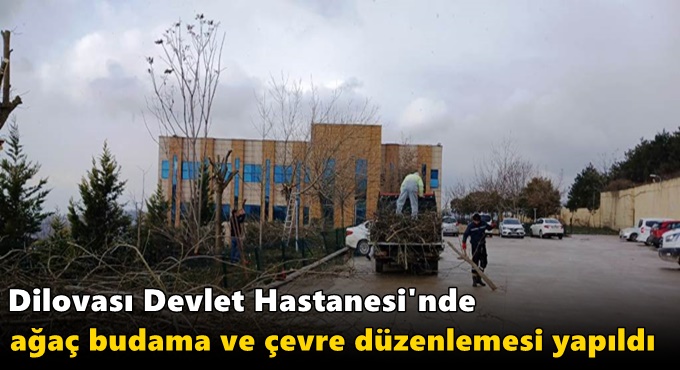 Dilovası Devlet Hastanesi'nde Ağaç Budama ve Çevre Düzenlemesi Yapıldı