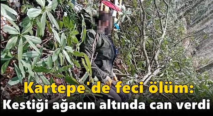 Kartepe'de feci ölüm: Kestiği ağacın altında can verdi