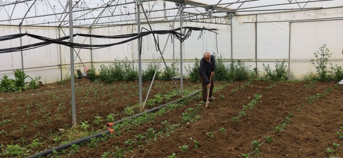 Kocaeli’nde tarım büyüyor, seracılık gelişiyor
