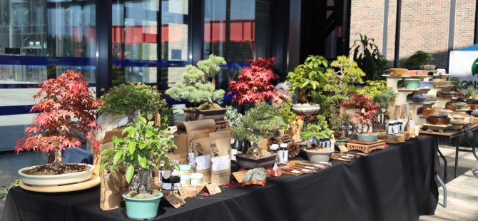 Büyükşehir’le sanatın derinliklerine yolculuk