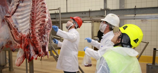 Kurban kesim başvuruları 15 Mayıs’ta başlıyor