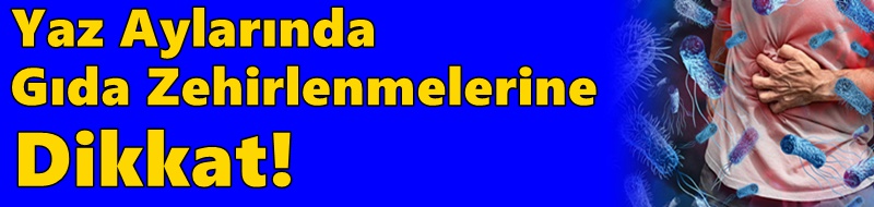 Yaz Aylarında Gıda Zehirlenmelerine Dikkat!