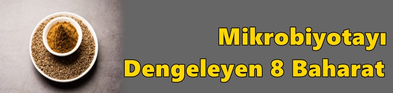 Mikrobiyotayı Dengeleyen 8 Baharat