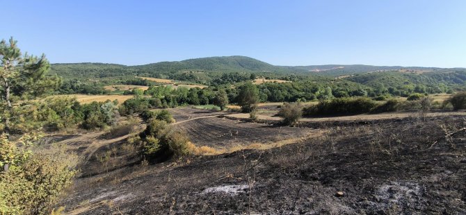 Yangında zarar gören çiftçilere gübre ve tohum desteği