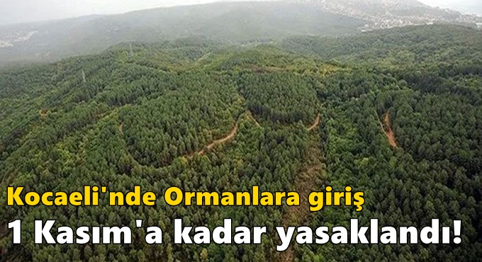 Kocaeli'nde Ormanlara giriş 1 Kasım'a kadar yasaklandı!