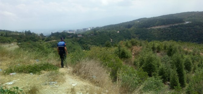 Kocaeli zabıtası, yangınlara karşı denetimleri artırdı