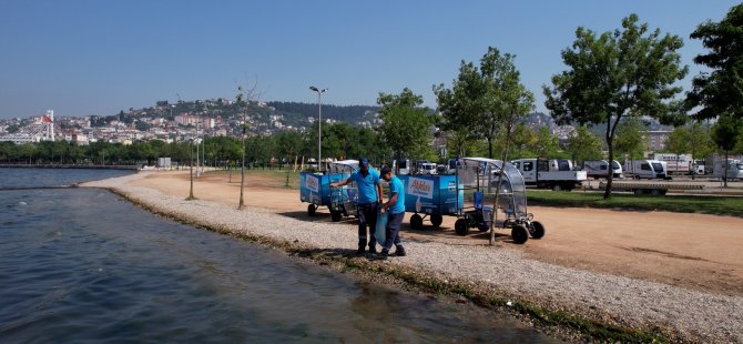 Kocaeli sahilleri hem bakımlı hem de pırıl pırıl