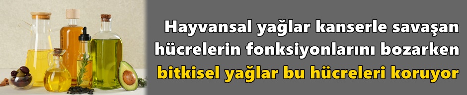 Bitkisel yağlar bu hücreleri koruyor