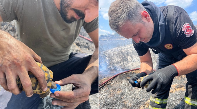 Alevlerin ortasında bir damla hayat