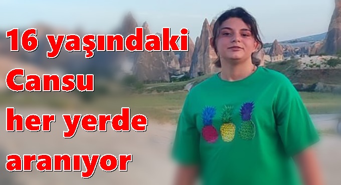 Darıca'lı Cansu her yerde aranıyor