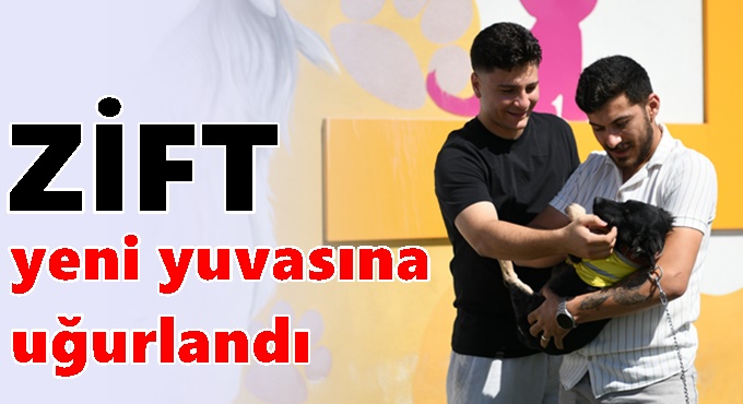 Zift, yeni yuvasına uğurlandı