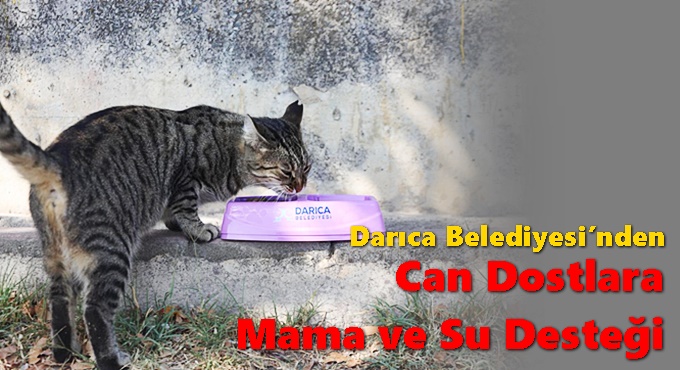 Darıca Belediyesi’nden Can Dostlarımıza Mama ve Su Desteği