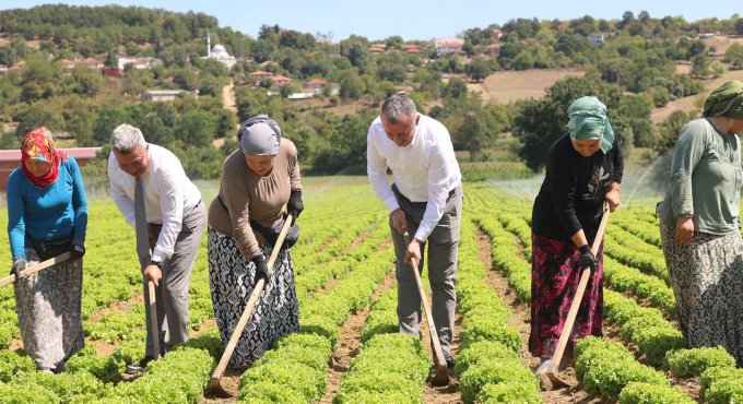 Büyükşehir destekliyor, üretim artıyor