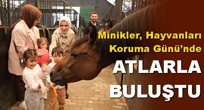 Minikler, Hayvanları Koruma Günü’nde atlarla buluştu