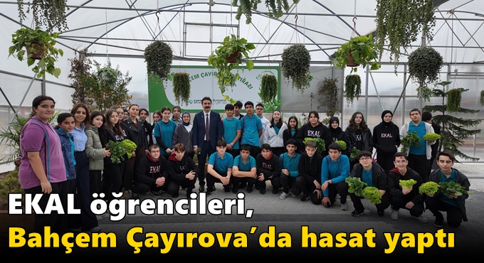 EKAL öğrencileri, Bahçem Çayırova’da hasat yaptı