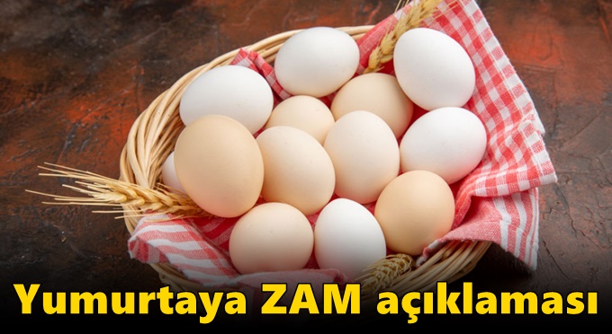 Yumurtaya zam açıklaması