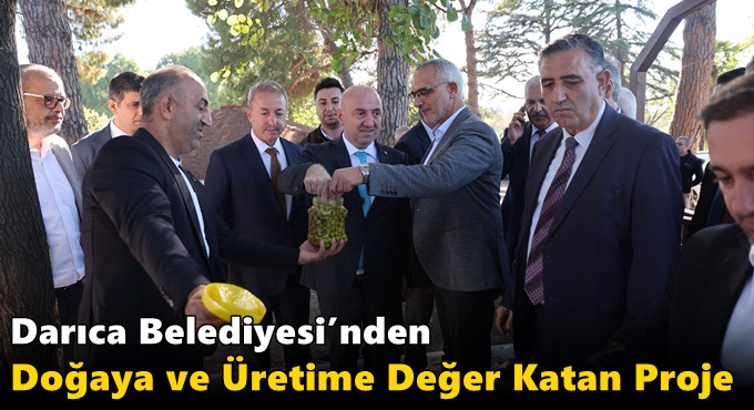 DARICA BELEDİYESİ- GEBZE TEKNİK ÜNİVERSİTESİ İŞBİRLİĞİNDE İLK ZEYTİN HASADI GERÇEKLEŞTİ