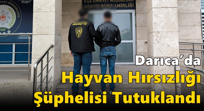 Darıca’da Hayvan Hırsızlığı Şüphelisi Tutuklandı