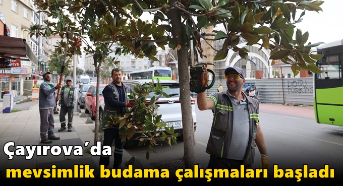 Çayırova’da mevsimlik budama çalışmaları başladı