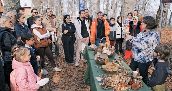 Kuzuyayla’da mantarların gizemli dünyası keşfedildi