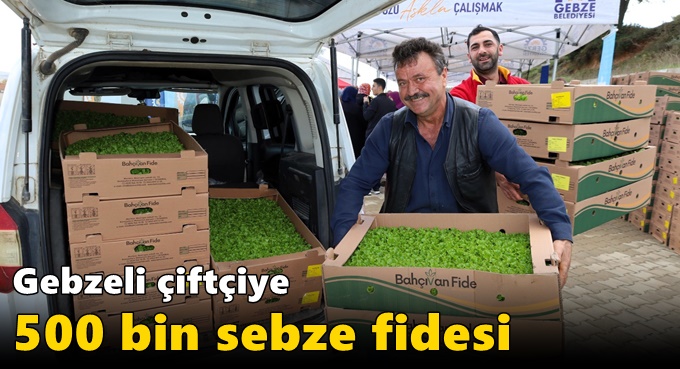 Gebzeli çiftçiye 500 bin sebze fidesi