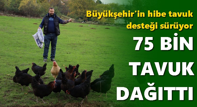 Kırsalda geçim kapısı güçleniyor, istihdam artıyor