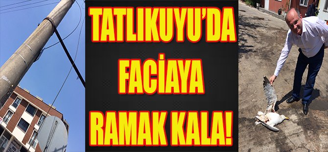 Tatlıkuyu'da Faciaya Ramak Kala!