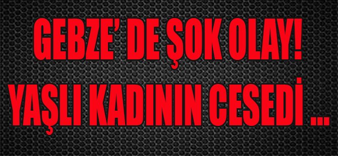 Gebze'de Şok Olay, Yaşlı Kadının Cesedi...