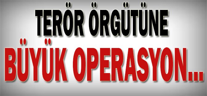 Terör örgütüne büyük operasyon