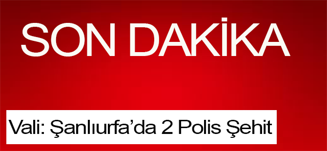 Şanlıurfa Valisi: 2 polis şehit edildi