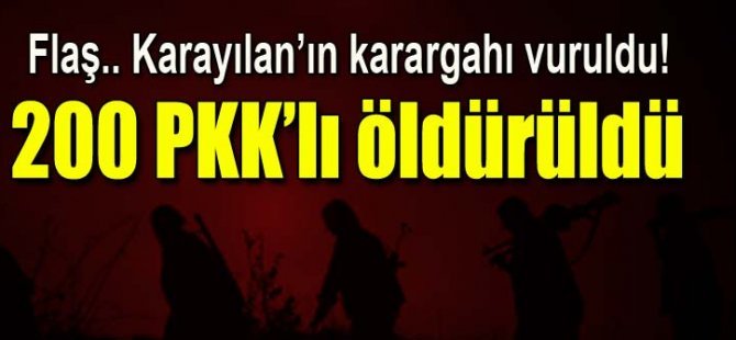 PKK'ya ağır darbe
