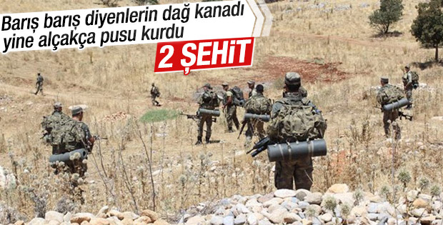 Şırnakta 2 Asker Şehit Düştü