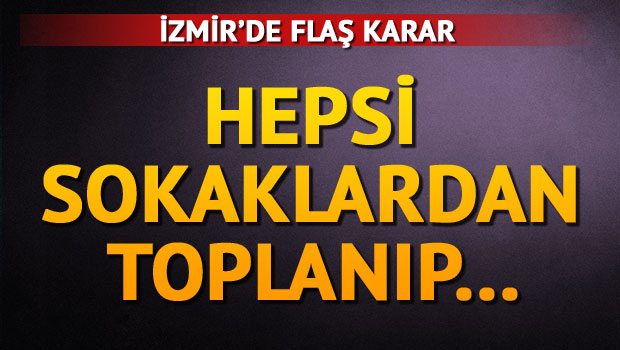 Stada toplayıp kamplara gönderilicekler