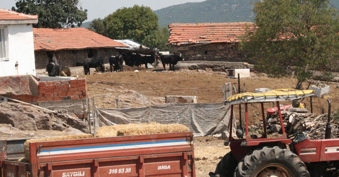 Şarbon  hastalığı karantina  oluşturttu