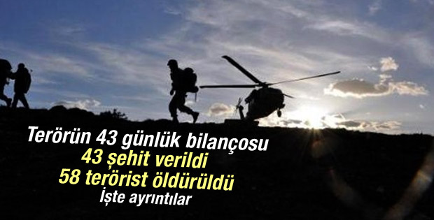 Terör operasyonlarında 43 günlük bilanço