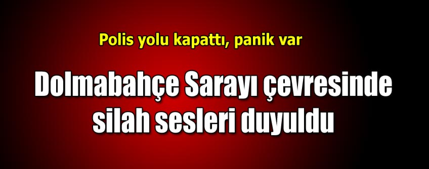 Dolmabahçe Sarayı'nda silah sesleri duyuldu