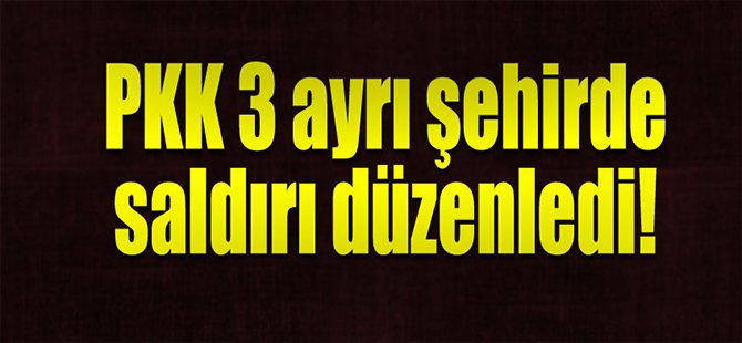 PKK 3 ayrı şehirde saldırdı