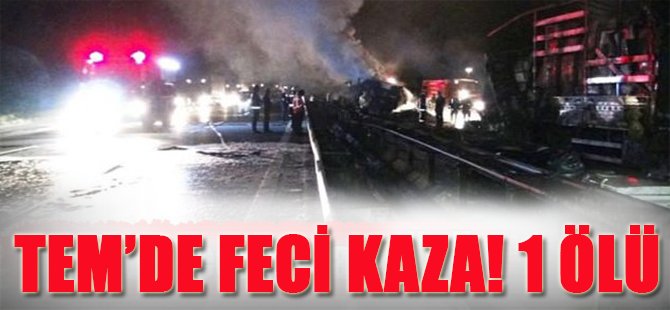 Tem'de Feci Kaza! 1 Ölü