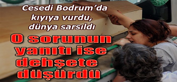 O Sorunun Yanıtı Dehşete Düşürdü!